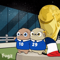 France Football GIF by Fugz Official