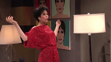 Liza Minnelli Tries to Turn Off a Lamp - SNL