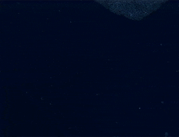 bebby squids GIF by Digg