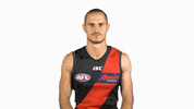 essendonfc dons bombers essendon essendon fc GIF