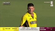 cricketcomau cricket 100 century hundred GIF