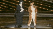 James Corden Cats GIF by The Academy Awards