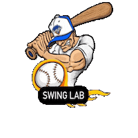 Sticker by Swing Lab