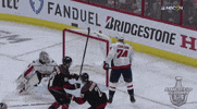 celebrate ice hockey GIF by NHL