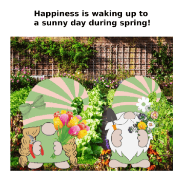 Flowers Spring GIF