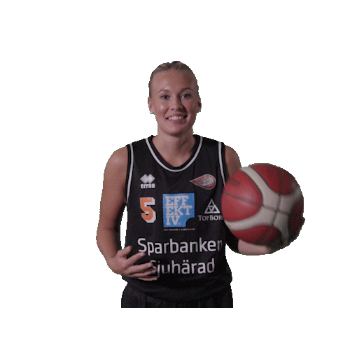 Basketball Hoops Sticker by Borås Basket
