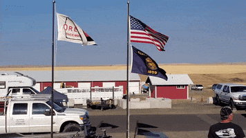 Car Racing GIF by 24 Hours Of Lemons