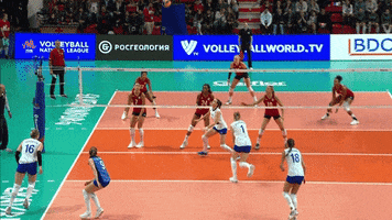 Emotion Wow GIF by Volleyball World