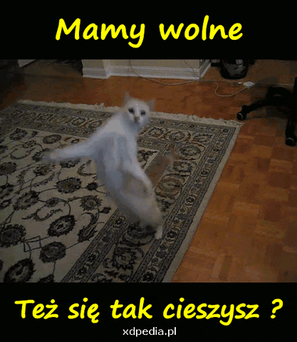 1417 GIF