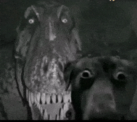 Dog Dinosaur GIF