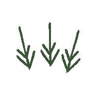 Arrow Boho Sticker by thefemaleexplorer
