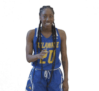 Womens Basketball No Sticker by Delaware Blue Hens