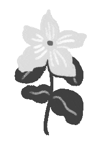 eternacadenciaeditora flower flor mansfield sopa de ciruela Sticker