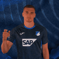Grischa Prömel Sport GIF by TSG Hoffenheim