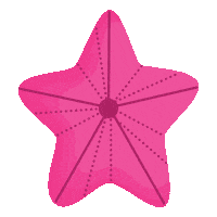 Summer Pink Sticker by bloggercoachingde