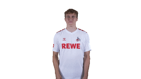 1 Fc Cologne Football Sticker by 1. FC Köln