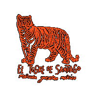 ElTigredeSantiago el tigre hostel life hostal merida merida yuc Sticker