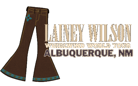 New Mexico Albuquerque Sticker by Lainey Wilson