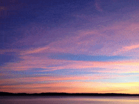 Mrs Sporty Bester Franchise Partner Kommt Aus Der Fitnessbranche GIF by FranchiseONE.de