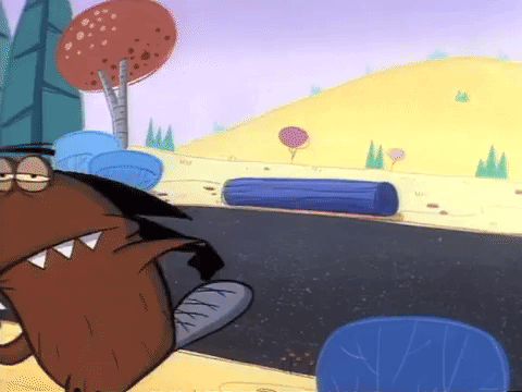 angry beavers nicksplat GIF