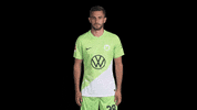 Bundesliga No GIF by VfL Wolfsburg
