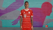 Bayern Sommer GIF by Bundesliga