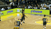 euroleague basketball maccabi GIF by EuroLeague