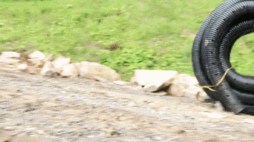 JCPropertyProfessionals rolling pipe jc property professionals grading GIF