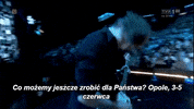 GIF by TVP.PL