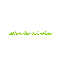 WolcolorGmbH bambusputz wolcolor bambusbändiger Sticker