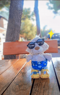 Happy Summer GIF