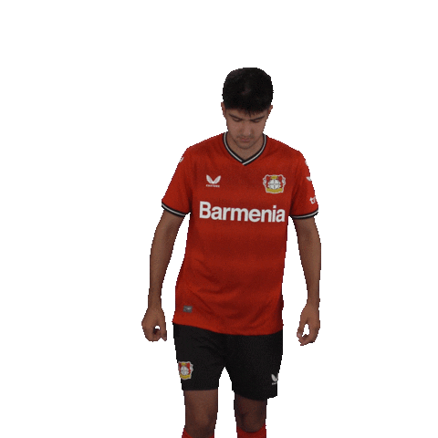 Happy Football Sticker by Bayer 04 Leverkusen