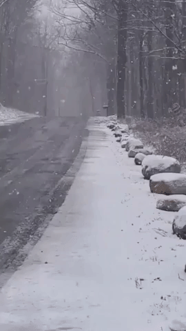 Light Snowfall Dusts Northern New Jersey