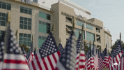 American Usa GIF by Arkansas Razorbacks