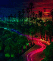 flashbackmag neon neonlights neonart flashbackmag GIF