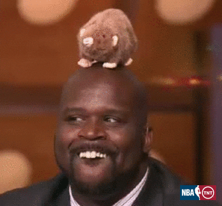 inside the nba hamster GIF by NBA on TNT