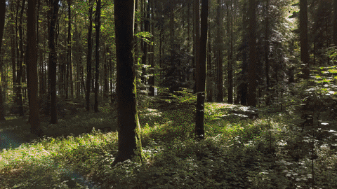 WiConnect giphyupload GIF