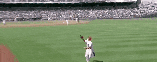 Nc State Baseball GIF by NCAA Championships