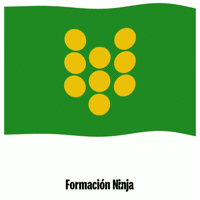 Flag Spain GIF by Formación Ninja