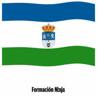 Flag Spain GIF by Formación Ninja