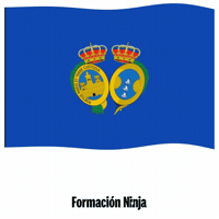 Flag Spain GIF by Formación Ninja