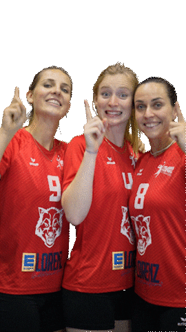 RotesRudel giphyupload volleyball svf fellbach Sticker