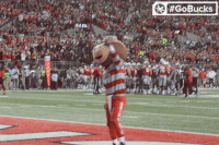 Ncaa Sports GIF by Ohio State Athletics