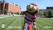 College Football GIF by Ohio State Athletics