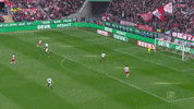 football GIF by 1. FC Köln