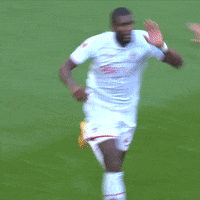 1 Fc Cologne Football GIF by 1. FC Köln