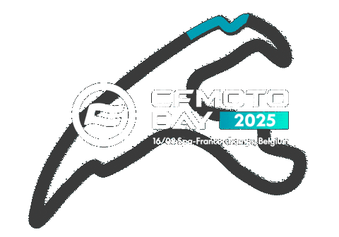 Cfmoto Sticker by BWImport