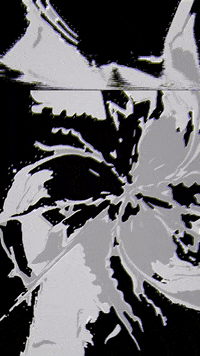 CORRIENTE corriente wearecorriente GIF