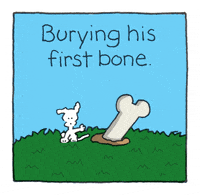 dogs puppy GIF by Chippy the Dog