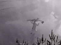 Hmj GIF by Jack Harlow